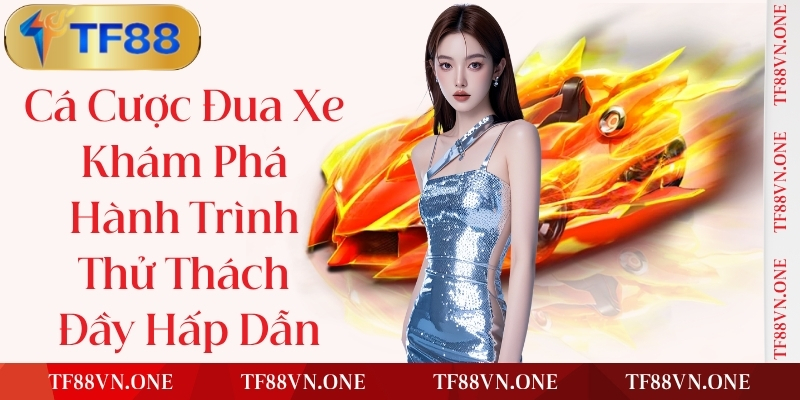 Chứng Nhận Quyền Lực, Lợi Thế Tài Nguyên Kết Nối