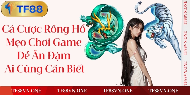 TF88 Hướng Dẫn Người Mới: Từng Bước Dễ Nhàng Bắt Đầu, Nhanh Chóng Khởi Động Hành Trình Kiếm Tiền