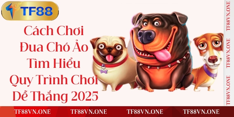 Những lưu ý quan trọng khi đăng ký TF88